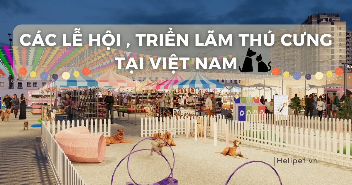 Cách vào tiền nuôi lô 7 ngày - Bí quyết nâng cao hiệu quả chơi lô dài hạn