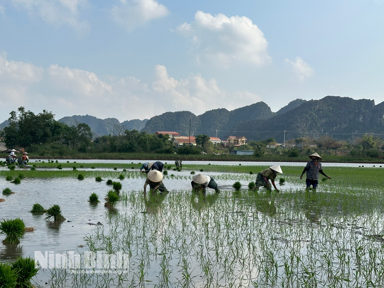 Nuôi dàn đề 16 số khung 5 ngày chuẩn nhất - Bí Quyết Tối Ưu Chiến Thuật Đặt Cược Hiệu Quả