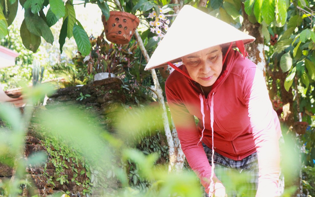 Nuôi dàn đề 20 số khung 3 ngày đẹp nhất - Chiến thuật tối ưu để thắng lớn trong xổ số